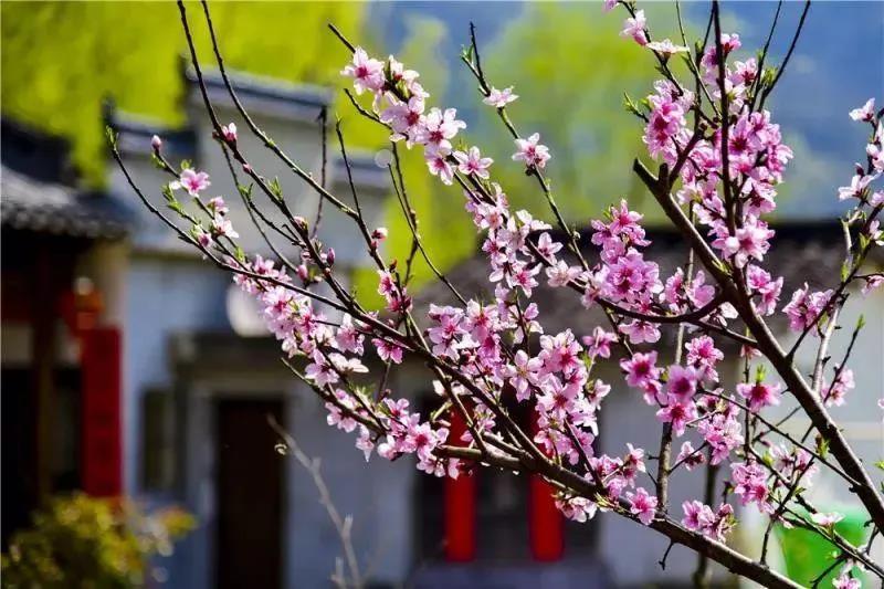 首页| DB真人旗舰集团中国官方网站