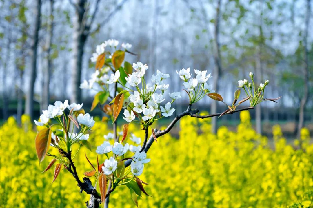 DB真人旗舰精机